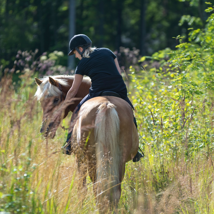 Tanja Wilms mit Pferd